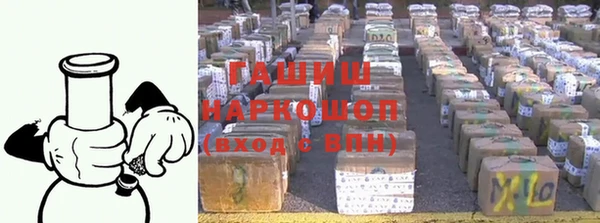 индика Михайловск