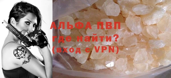 индика Михайловск