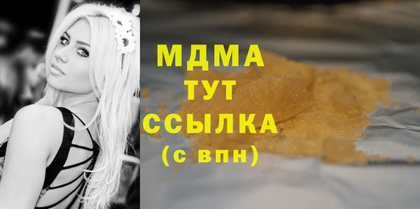 индика Михайловск