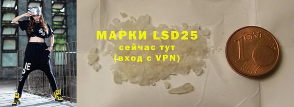 индика Михайловск