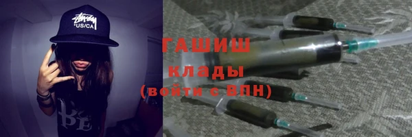 индика Михайловск