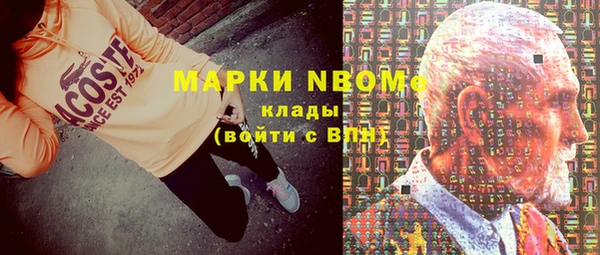 индика Михайловск