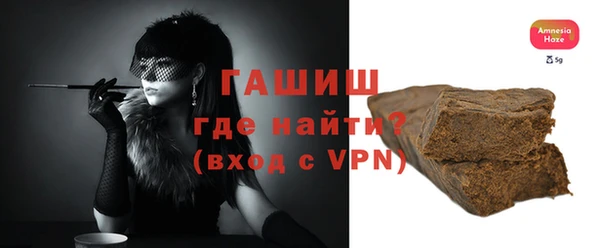 индика Михайловск