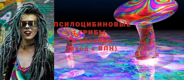 индика Михайловск