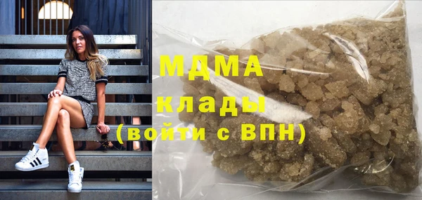 индика Михайловск