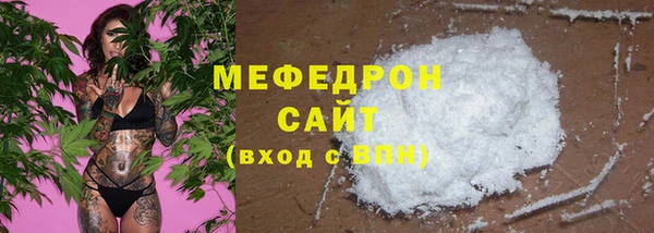 индика Михайловск