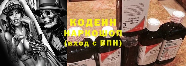 индика Михайловск