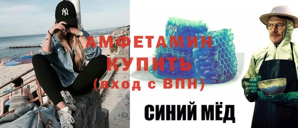 индика Михайловск