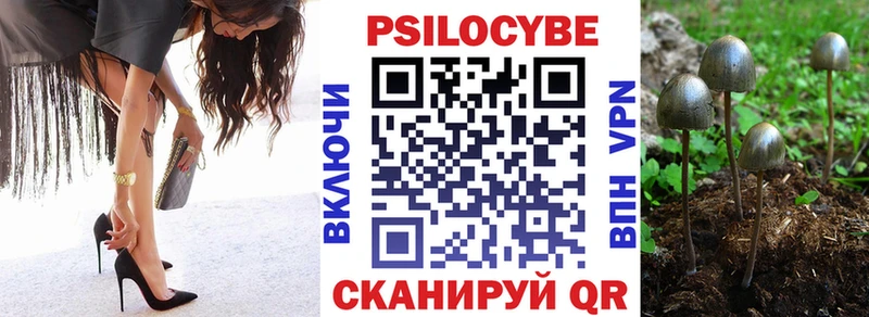 Купить где  Духовщина  Галлюциногенные грибы Cubensis 